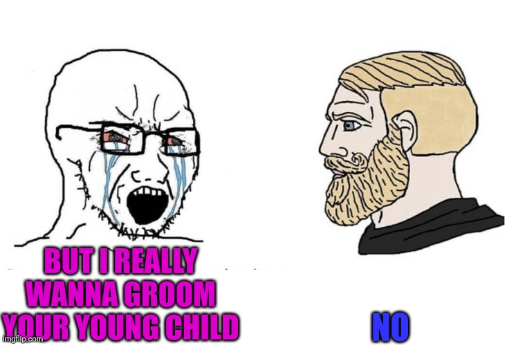 Hooray! Florida signed the bill into law. Thank you Governor for looking after the children from predator teachers! | NO; BUT I REALLY WANNA GROOM YOUR YOUNG CHILD | image tagged in soyboy vs yes chad | made w/ Imgflip meme maker