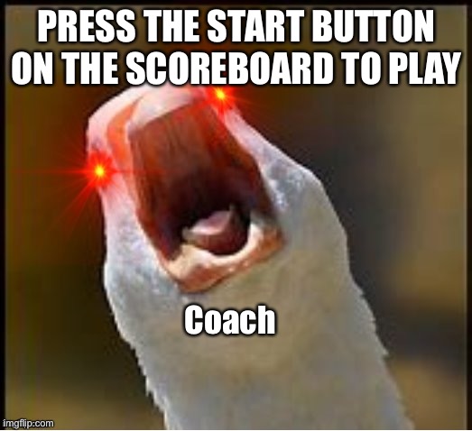 POV: Coach From RecRoom | PRESS THE START BUTTON ON THE SCOREBOARD TO PLAY; Coach | image tagged in screaming duck 3 | made w/ Imgflip meme maker