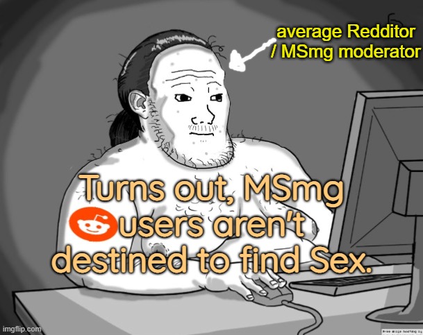 Average Redditor | average Redditor / MSmg moderator; Turns out, MSmg users aren't destined to find Sex. | image tagged in average redditor | made w/ Imgflip meme maker
