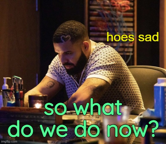 Hoes sad Drake | so what do we do now? | image tagged in hoes sad drake | made w/ Imgflip meme maker