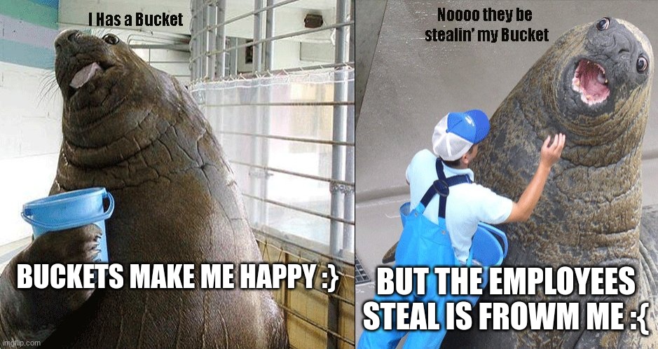 the bucket | BUT THE EMPLOYEES STEAL IS FROWM ME :{; BUCKETS MAKE ME HAPPY :} | image tagged in i has a bucket | made w/ Imgflip meme maker