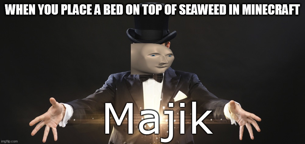 Magic | WHEN YOU PLACE A BED ON TOP OF SEAWEED IN MINECRAFT | image tagged in magic | made w/ Imgflip meme maker