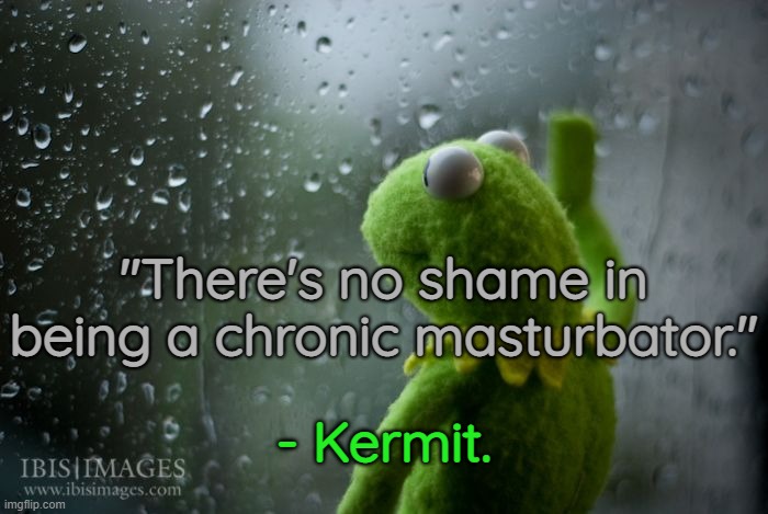 kermit window | - Kermit. "There's no shame in being a chronic masturbator." | image tagged in kermit window | made w/ Imgflip meme maker