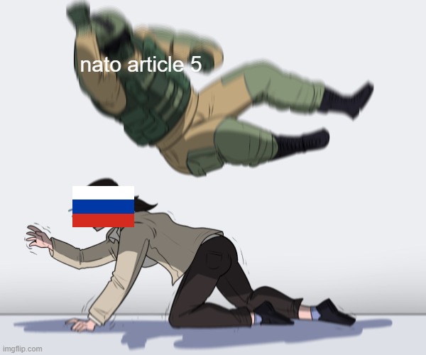 ah yes | nato article 5 | image tagged in ukraine status | made w/ Imgflip meme maker