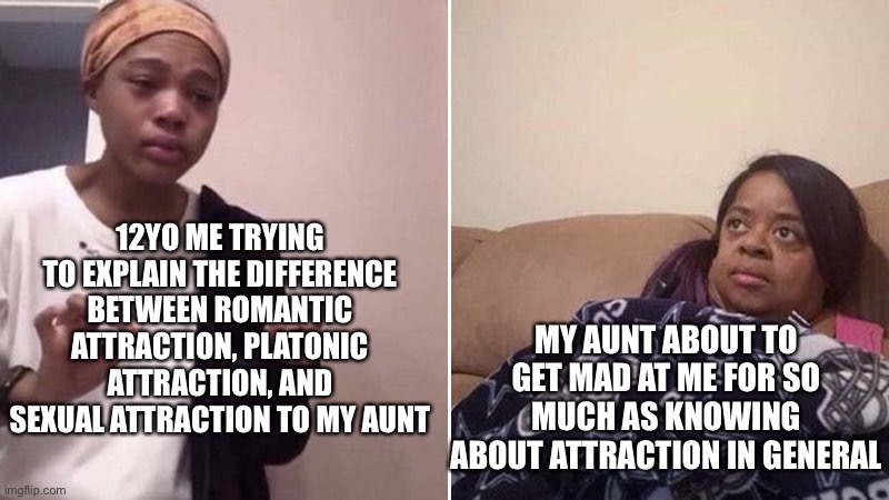Me explaining to my mom | 12YO ME TRYING TO EXPLAIN THE DIFFERENCE BETWEEN ROMANTIC ATTRACTION, PLATONIC ATTRACTION, AND SEXUAL ATTRACTION TO MY AUNT; MY AUNT ABOUT TO GET MAD AT ME FOR SO MUCH AS KNOWING ABOUT ATTRACTION IN GENERAL | image tagged in me explaining to my mom | made w/ Imgflip meme maker