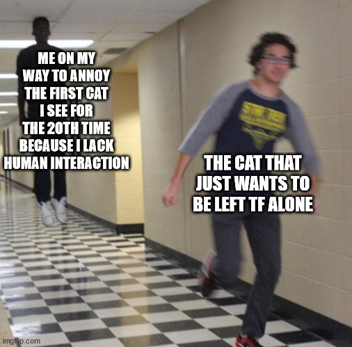 poor cat | ME ON MY WAY TO ANNOY THE FIRST CAT I SEE FOR THE 20TH TIME BECAUSE I LACK HUMAN INTERACTION; THE CAT THAT JUST WANTS TO BE LEFT TF ALONE | image tagged in running away in hallway | made w/ Imgflip meme maker