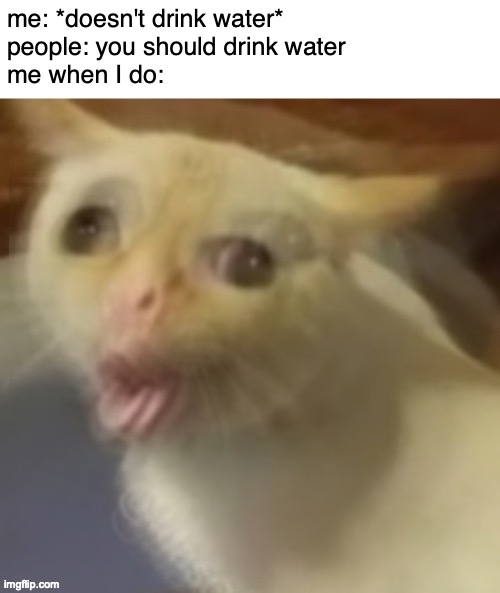 when your life flashes before your eyes | me: *doesn't drink water*
people: you should drink water
me when I do: | made w/ Imgflip meme maker