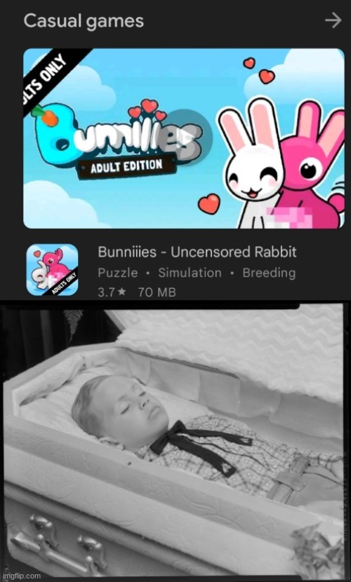 dead | image tagged in kid in coffin,why are you reading this,oh wow are you actually reading these tags,stop reading the tags,anti furry | made w/ Imgflip meme maker