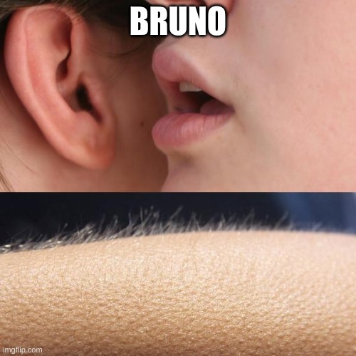 yikes | BRUNO | image tagged in whisper and goosebumps | made w/ Imgflip meme maker