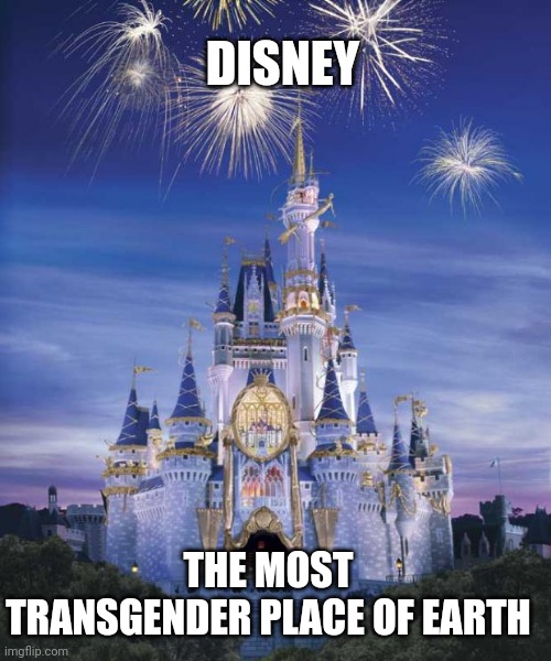 Because Disney is not saying "Ladies and Gentlemen..." anymore |  DISNEY; THE MOST TRANSGENDER PLACE OF EARTH | image tagged in disney,dissapointed,ladies,transgender,gentleman,liberty god bible trump | made w/ Imgflip meme maker