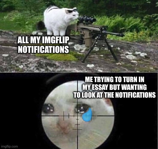 I've lost the last of my braincells | ALL MY IMGFLIP NOTIFICATIONS; ME TRYING TO TURN IN MY ESSAY BUT WANTING TO LOOK AT THE NOTIFICATIONS | image tagged in sniper cat | made w/ Imgflip meme maker