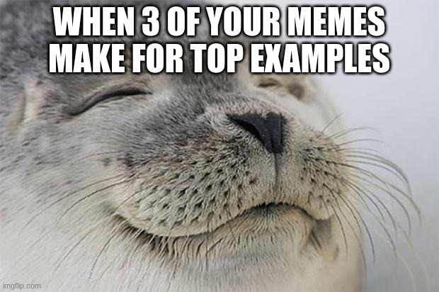 TOP EXAMPLE! | WHEN 3 OF YOUR MEMES MAKE FOR TOP EXAMPLES | image tagged in memes,satisfied seal | made w/ Imgflip meme maker