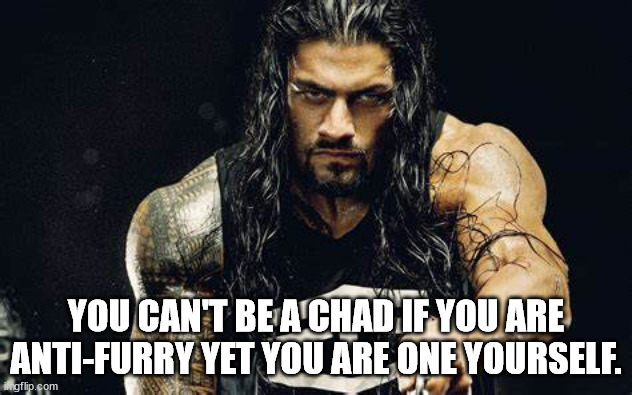 Thanos talking - Roman Reigns edition | YOU CAN'T BE A CHAD IF YOU ARE ANTI-FURRY YET YOU ARE ONE YOURSELF. | image tagged in thanos talking - roman reigns edition | made w/ Imgflip meme maker