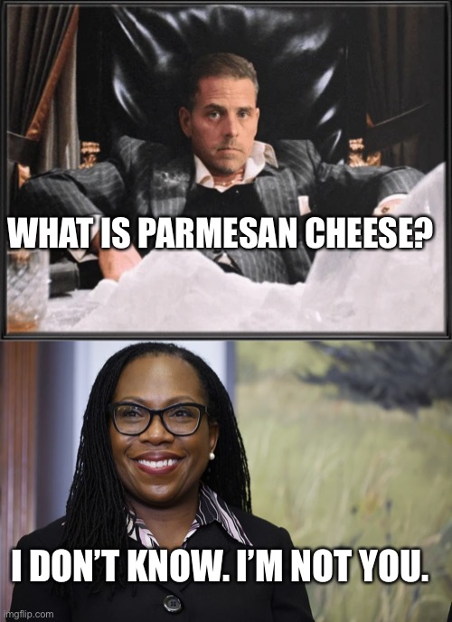  WHAT IS PARMESAN CHEESE? I DON’T KNOW. I’M NOT YOU. | image tagged in parmesan face,kbj | made w/ Imgflip meme maker
