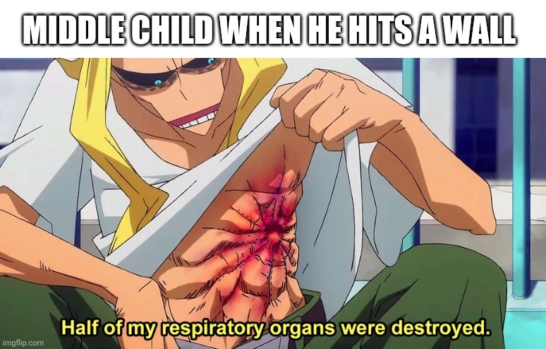 Half of my respiratory organs were destroyed | MIDDLE CHILD WHEN HE HITS A WALL | image tagged in half of my respiratory organs were destroyed,memes,middle,child | made w/ Imgflip meme maker