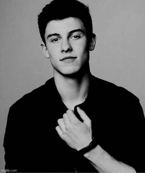 Shawn Mendes | image tagged in shawn mendes | made w/ Imgflip meme maker