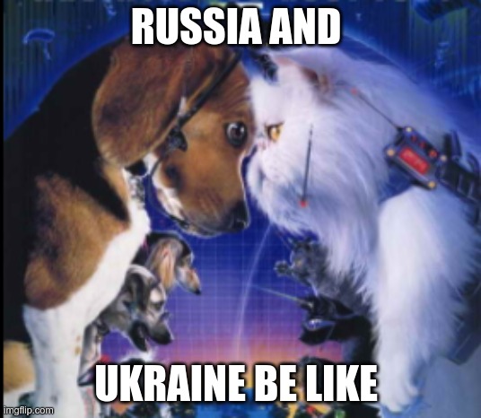 I meow, you bark | RUSSIA AND; UKRAINE BE LIKE | image tagged in ukraine,pets,russia | made w/ Imgflip meme maker