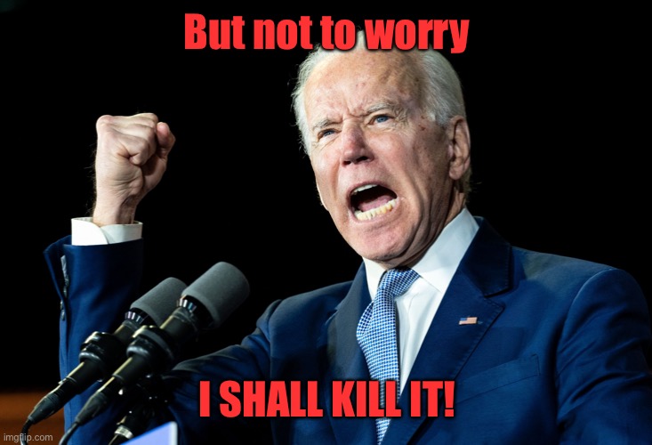 Joe Biden - Nap Times for EVERYONE! | But not to worry I SHALL KILL IT! | image tagged in joe biden - nap times for everyone | made w/ Imgflip meme maker