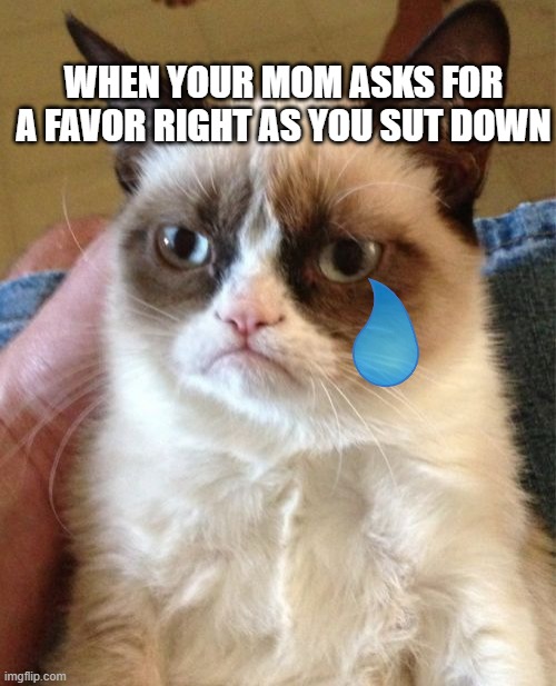 FAVORS |  WHEN YOUR MOM ASKS FOR A FAVOR RIGHT AS YOU SUT DOWN | image tagged in memes,grumpy cat | made w/ Imgflip meme maker