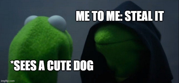 DOGS | ME TO ME: STEAL IT; *SEES A CUTE DOG | image tagged in memes,evil kermit | made w/ Imgflip meme maker