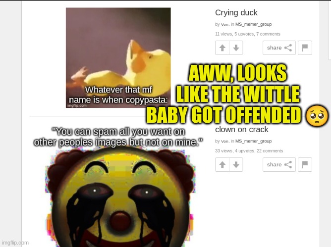 Awww | AWW, LOOKS LIKE THE WITTLE BABY GOT OFFENDED 🥺 | image tagged in waaa,waaaa,waaaaa | made w/ Imgflip meme maker