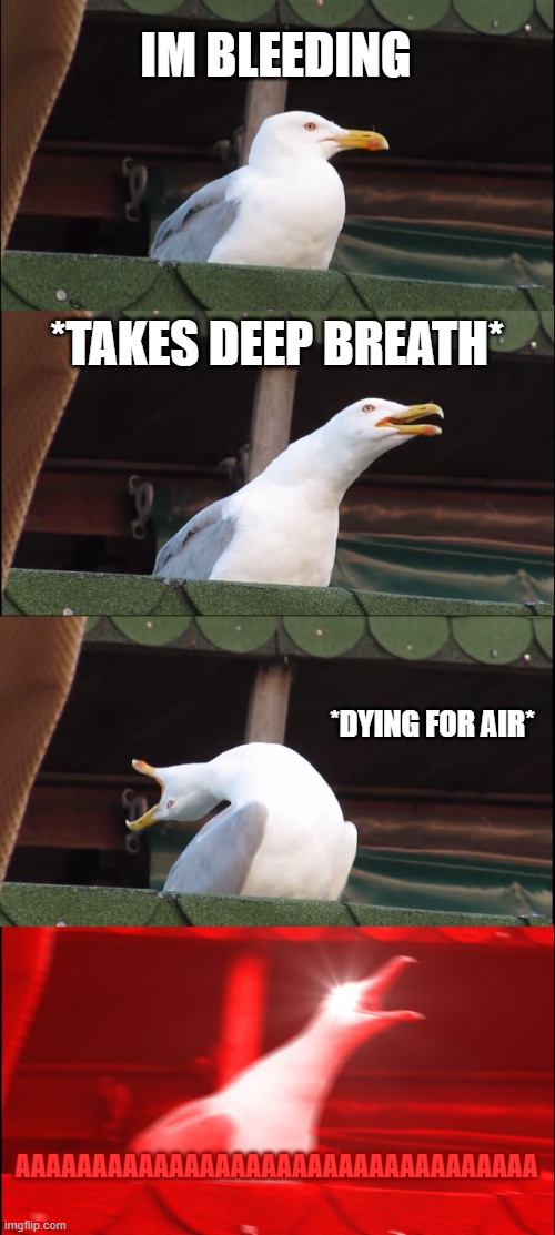 Inhaling Seagull | IM BLEEDING; *TAKES DEEP BREATH*; *DYING FOR AIR*; AAAAAAAAAAAAAAAAAAAAAAAAAAAAAAAAAA | image tagged in memes,inhaling seagull | made w/ Imgflip meme maker
