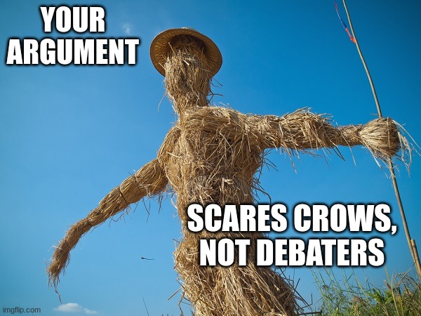 Strawman | YOUR ARGUMENT SCARES CROWS,
NOT DEBATERS | image tagged in strawman | made w/ Imgflip meme maker