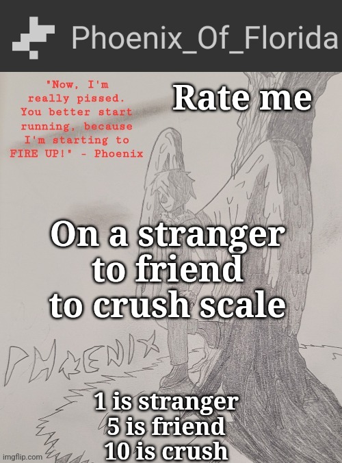 Phoenix's Announcement Temp | Rate me; On a stranger to friend to crush scale; 1 is stranger
5 is friend
10 is crush | image tagged in phoenix's announcement temp | made w/ Imgflip meme maker