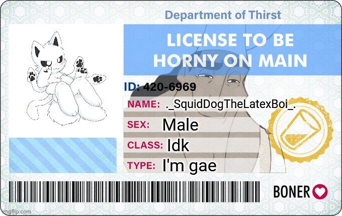 Hehe~ | ._SquidDogTheLatexBoi_. Male; Idk; I'm gae | image tagged in license to be horny on main | made w/ Imgflip meme maker