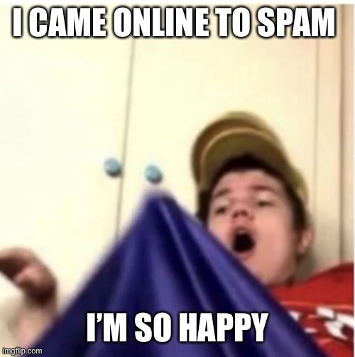 Lets go | I CAME ONLINE TO SPAM; I’M SO HAPPY | image tagged in alfaoxtrot mega boner | made w/ Imgflip meme maker
