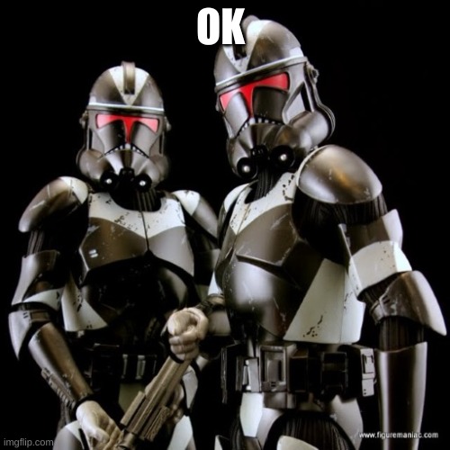 two clone troopers teamwork | OK | image tagged in two clone troopers teamwork | made w/ Imgflip meme maker