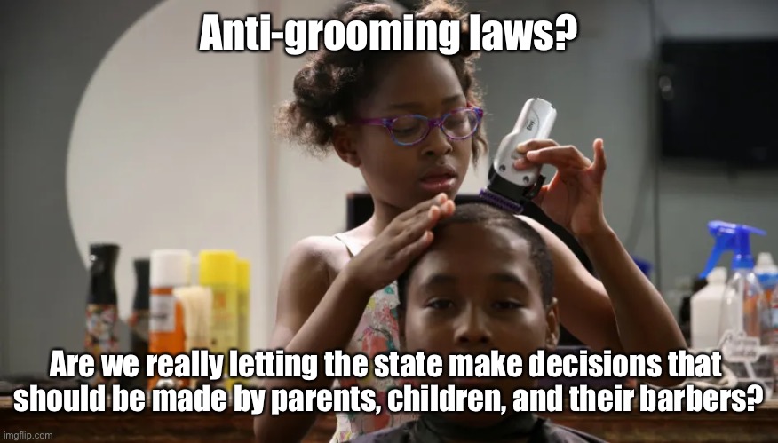 Don't say hair straightener | Anti-grooming laws? Are we really letting the state make decisions that 
should be made by parents, children, and their barbers? | made w/ Imgflip meme maker