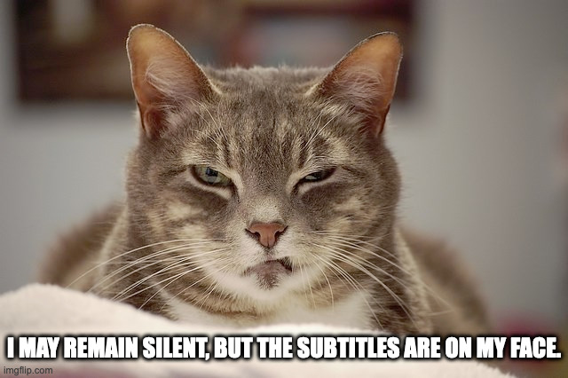 my face speaks in subtitles | I MAY REMAIN SILENT, BUT THE SUBTITLES ARE ON MY FACE. | image tagged in subtitles,funny cat,disgusted cat | made w/ Imgflip meme maker