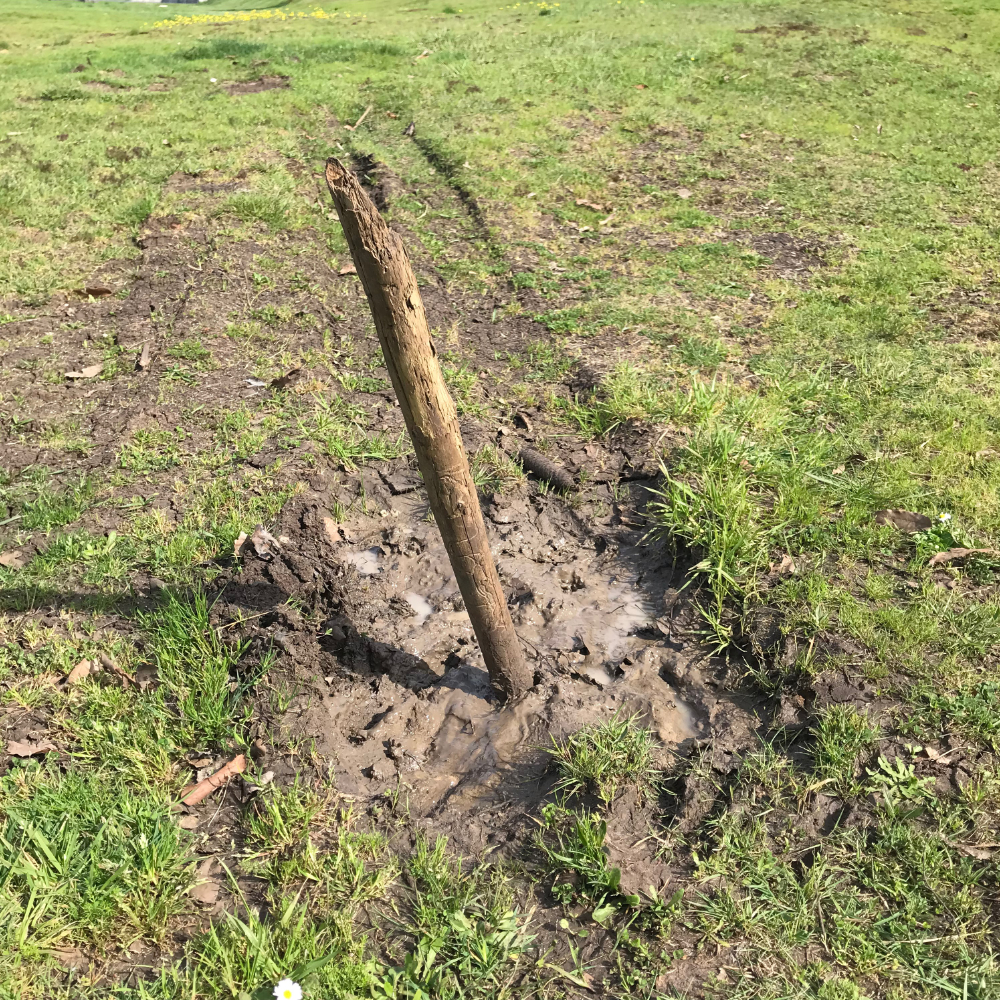 High Quality Stick in the Mud Blank Meme Template