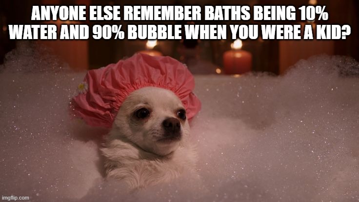 Anyone relate? | ANYONE ELSE REMEMBER BATHS BEING 10% WATER AND 90% BUBBLE WHEN YOU WERE A KID? | image tagged in chihuahua bubble bath | made w/ Imgflip meme maker