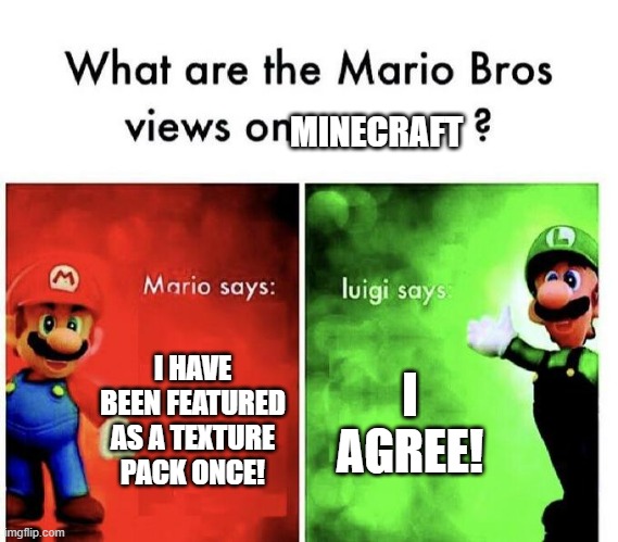 Mario bros views on minecraft | MINECRAFT; I HAVE BEEN FEATURED AS A TEXTURE PACK ONCE! I AGREE! | image tagged in mario bros views | made w/ Imgflip meme maker