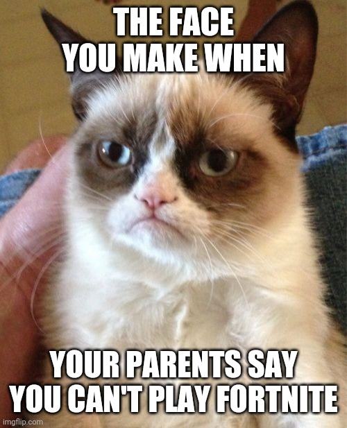 Grumpy Cat | THE FACE YOU MAKE WHEN; YOUR PARENTS SAY YOU CAN'T PLAY FORTNITE | image tagged in memes,grumpy cat | made w/ Imgflip meme maker
