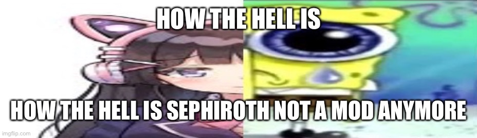 Owner* | HOW THE HELL IS; HOW THE HELL IS SEPHIROTH NOT A MOD ANYMORE | image tagged in lol | made w/ Imgflip meme maker