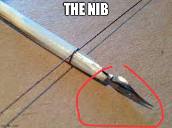 THE NIB | made w/ Imgflip meme maker
