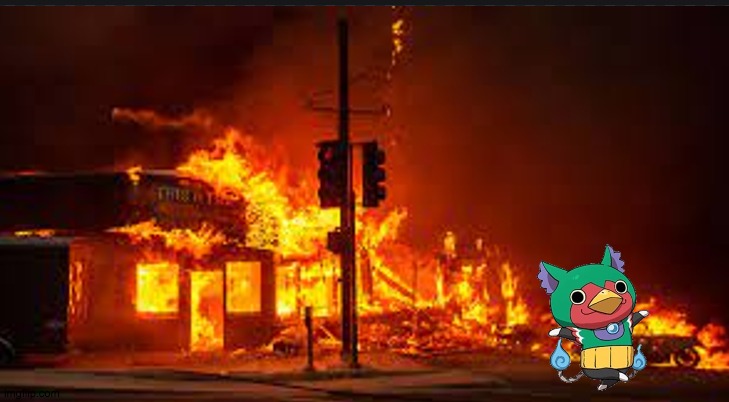 bird burn down restaurant. 10 died | made w/ Imgflip meme maker