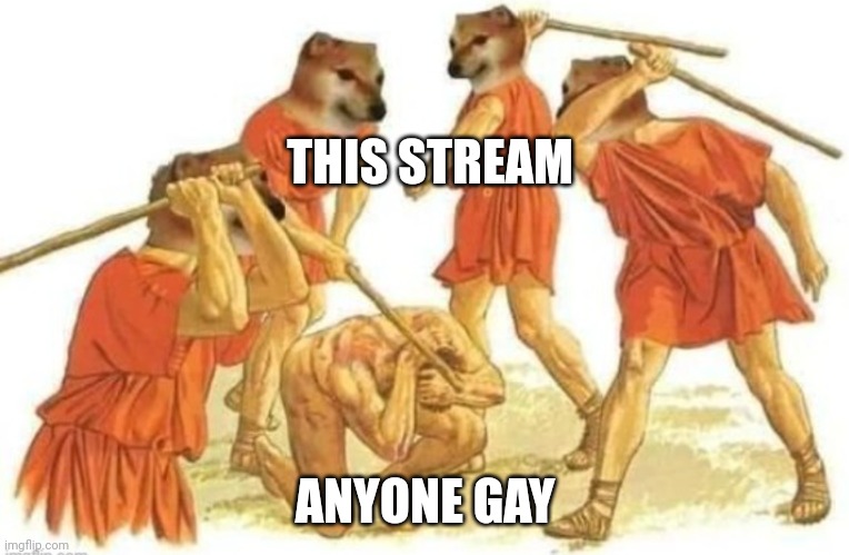 Doge beating human | THIS STREAM; ANYONE GAY | image tagged in doge beating human | made w/ Imgflip meme maker