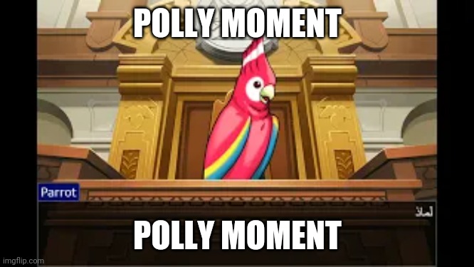 Polly moment | POLLY MOMENT; POLLY MOMENT | image tagged in polly | made w/ Imgflip meme maker