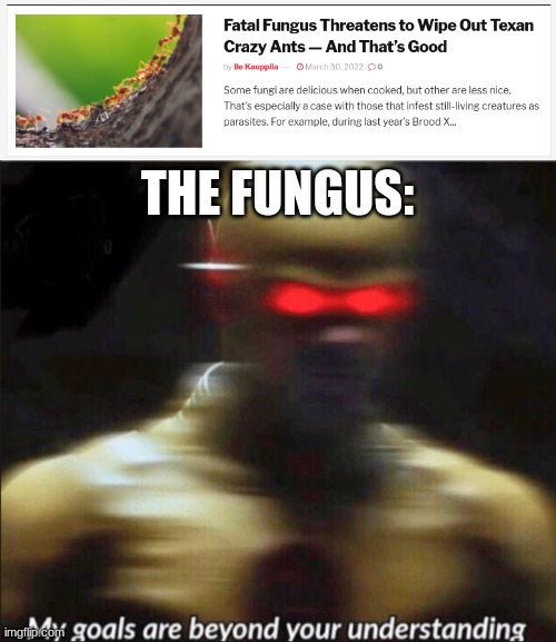 (very clever title) | THE FUNGUS: | image tagged in my goals are beyond your understanding,yes,ants,fungus,is,among us | made w/ Imgflip meme maker