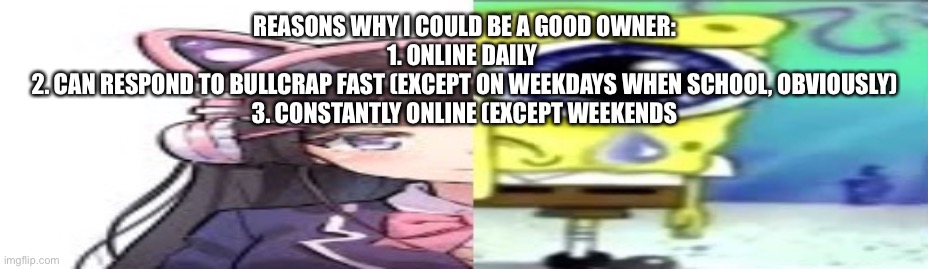 lol | REASONS WHY I COULD BE A GOOD OWNER:
1. ONLINE DAILY 
2. CAN RESPOND TO BULLCRAP FAST (EXCEPT ON WEEKDAYS WHEN SCHOOL, OBVIOUSLY)
3. CONSTANTLY ONLINE (EXCEPT WEEKENDS | image tagged in lol | made w/ Imgflip meme maker