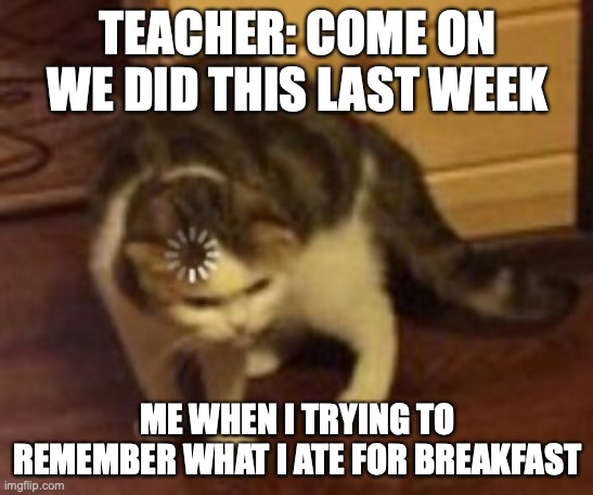 Loading cat | TEACHER: COME ON WE DID THIS LAST WEEK; ME WHEN I TRYING TO REMEMBER WHAT I ATE FOR BREAKFAST | image tagged in loading cat | made w/ Imgflip meme maker