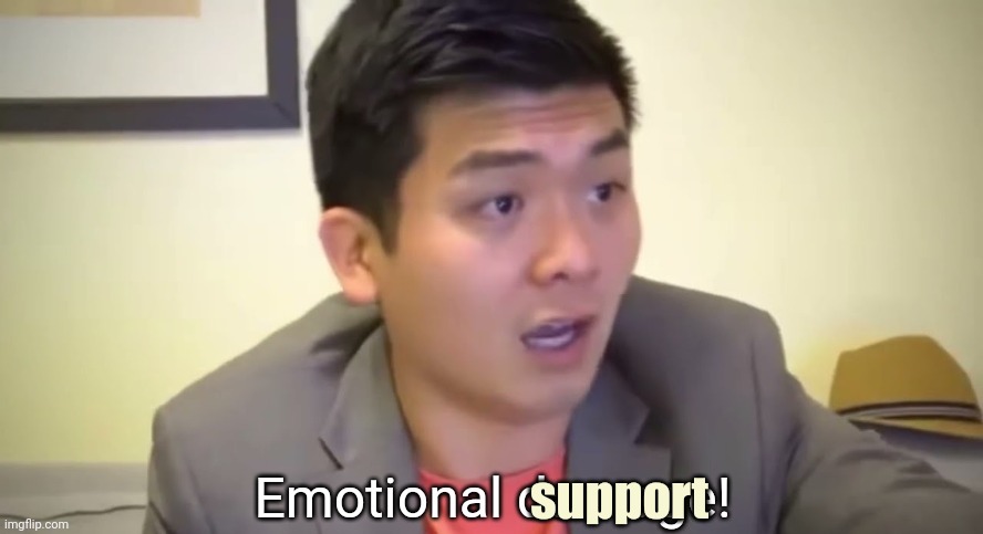 Emotional damage | support | image tagged in emotional damage | made w/ Imgflip meme maker