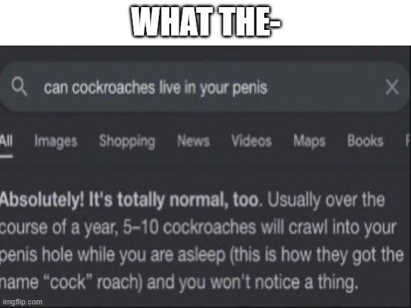Naughty cockroaches | WHAT THE- | image tagged in cockroach,penis jokes | made w/ Imgflip meme maker