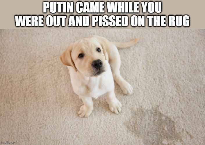 PUTIN CAME WHILE YOU WERE OUT AND PISSED ON THE RUG | made w/ Imgflip meme maker