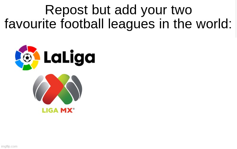Add your two favourite football leagues down below (Try It) | Repost but add your two favourite football leagues in the world: | image tagged in blank meme template,memes,football,sports | made w/ Imgflip meme maker