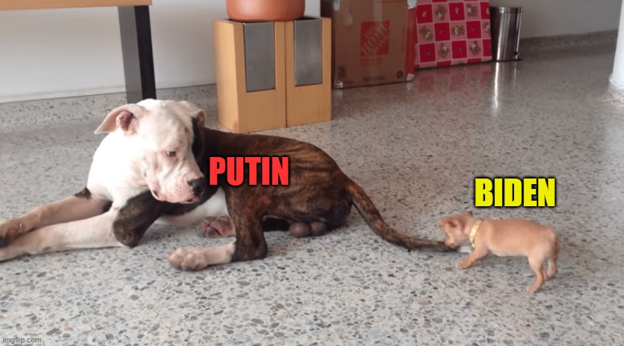 BIDEN; PUTIN | made w/ Imgflip meme maker